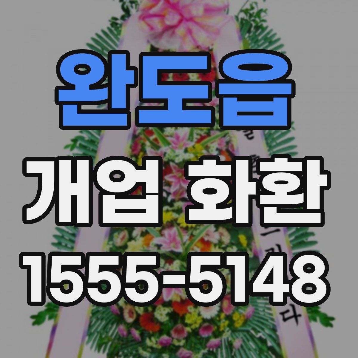 완도읍 개업 화환