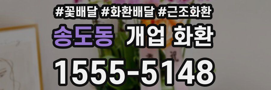 송도동 개업 화환