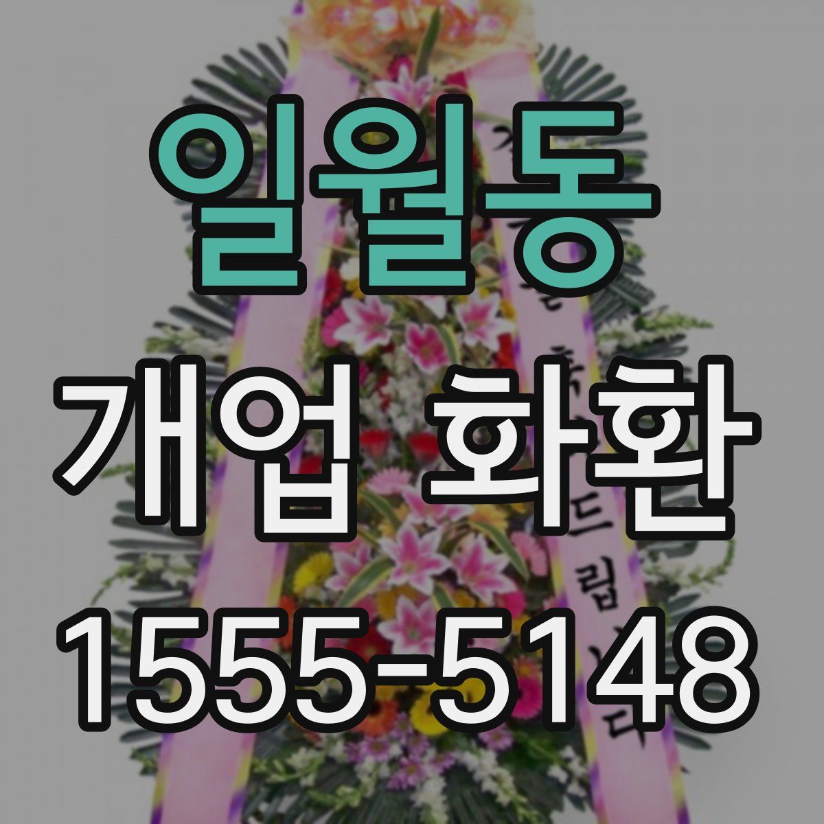 일월동 개업 화환