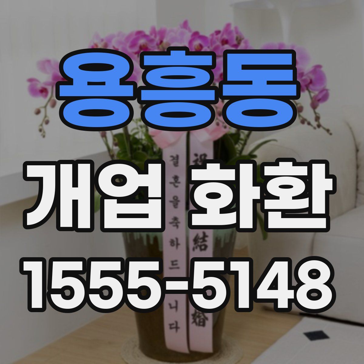 용흥동 개업 화환