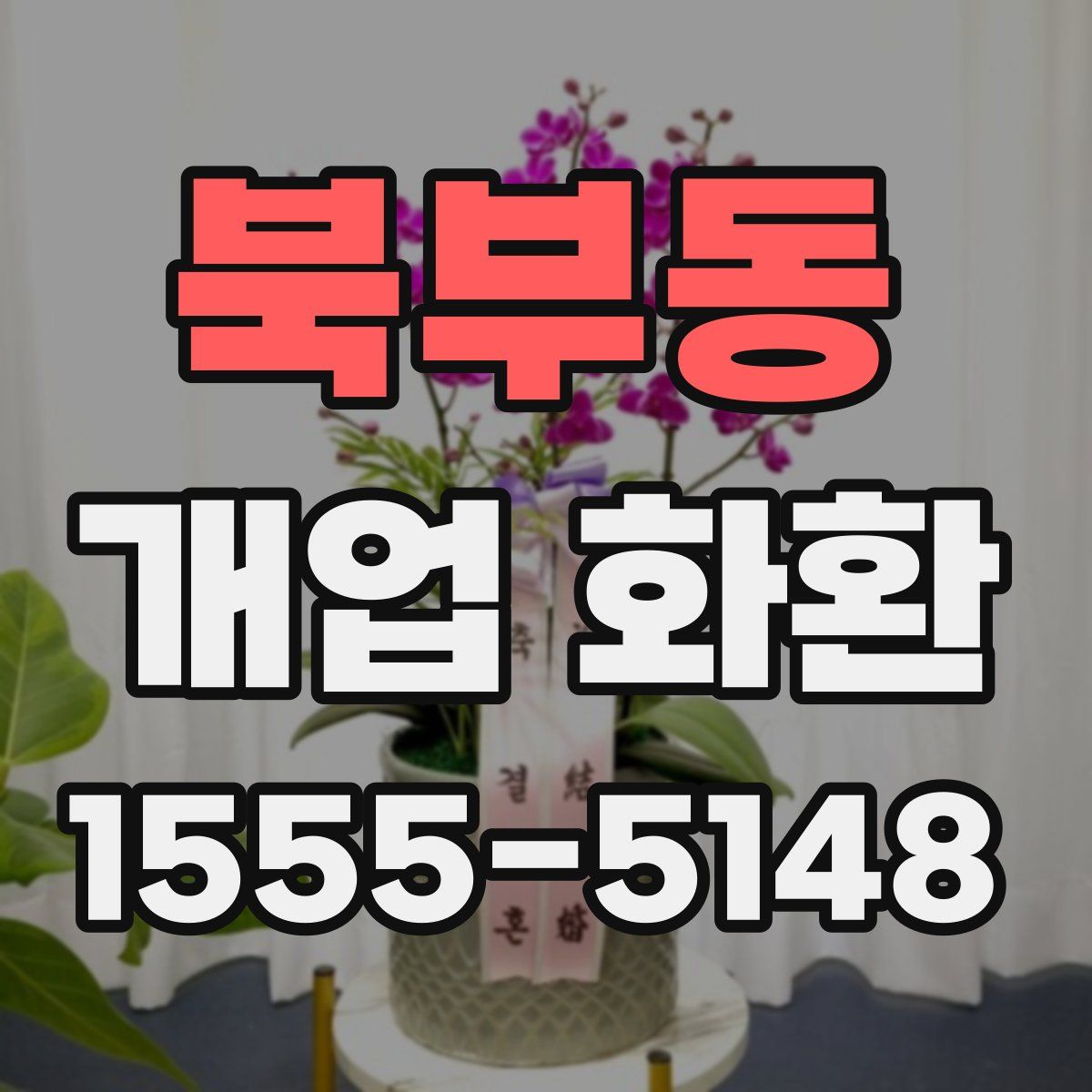 북부동 개업 화환