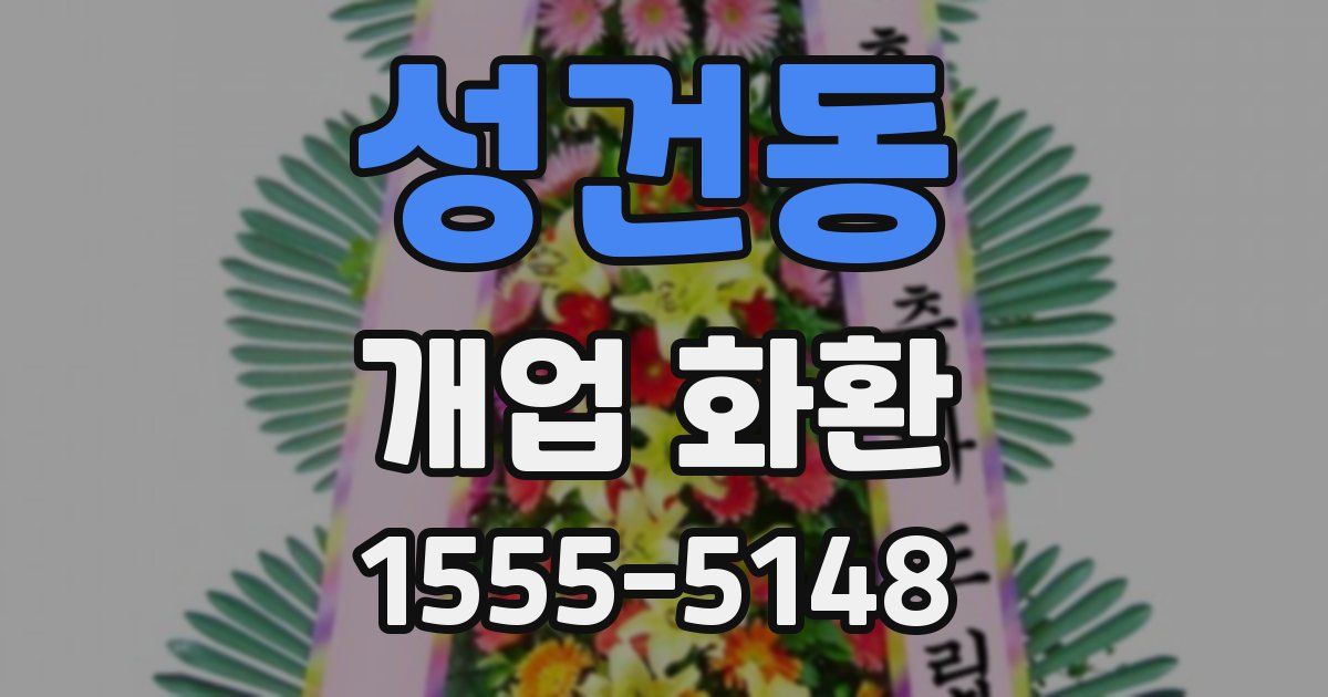 성건동 개업 화환