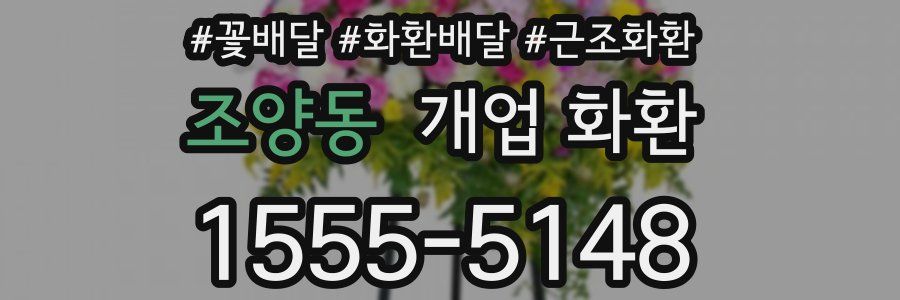 조양동 개업 화환