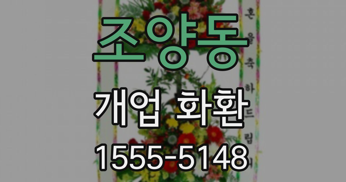 조양동 개업 화환