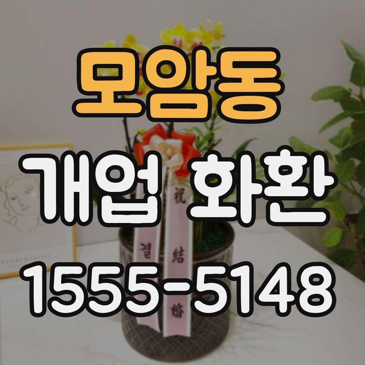 모암동 개업 화환