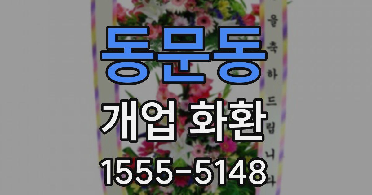 동문동 개업 화환