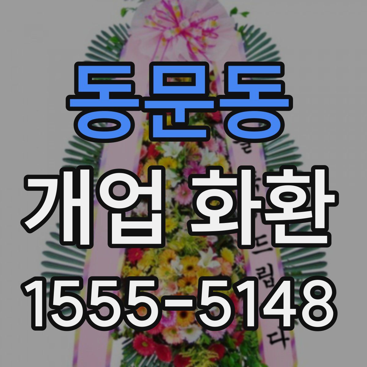 동문동 개업 화환