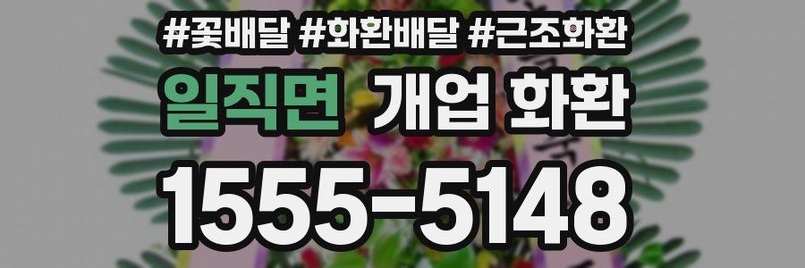 일직면 개업 화환
