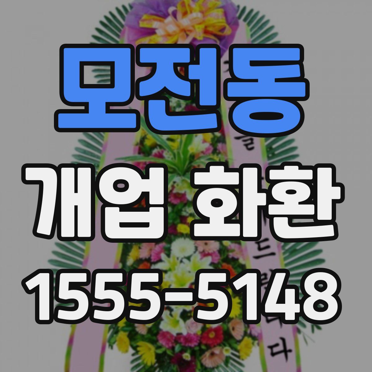 모전동 개업 화환