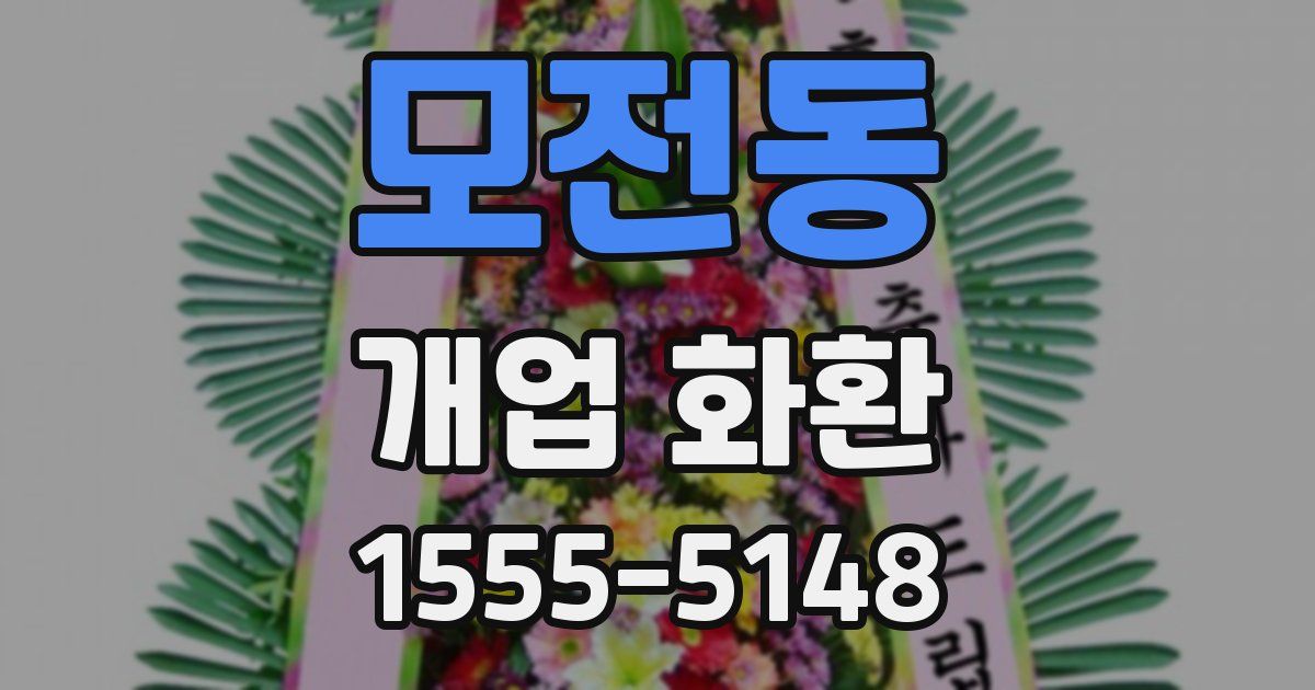 모전동 개업 화환