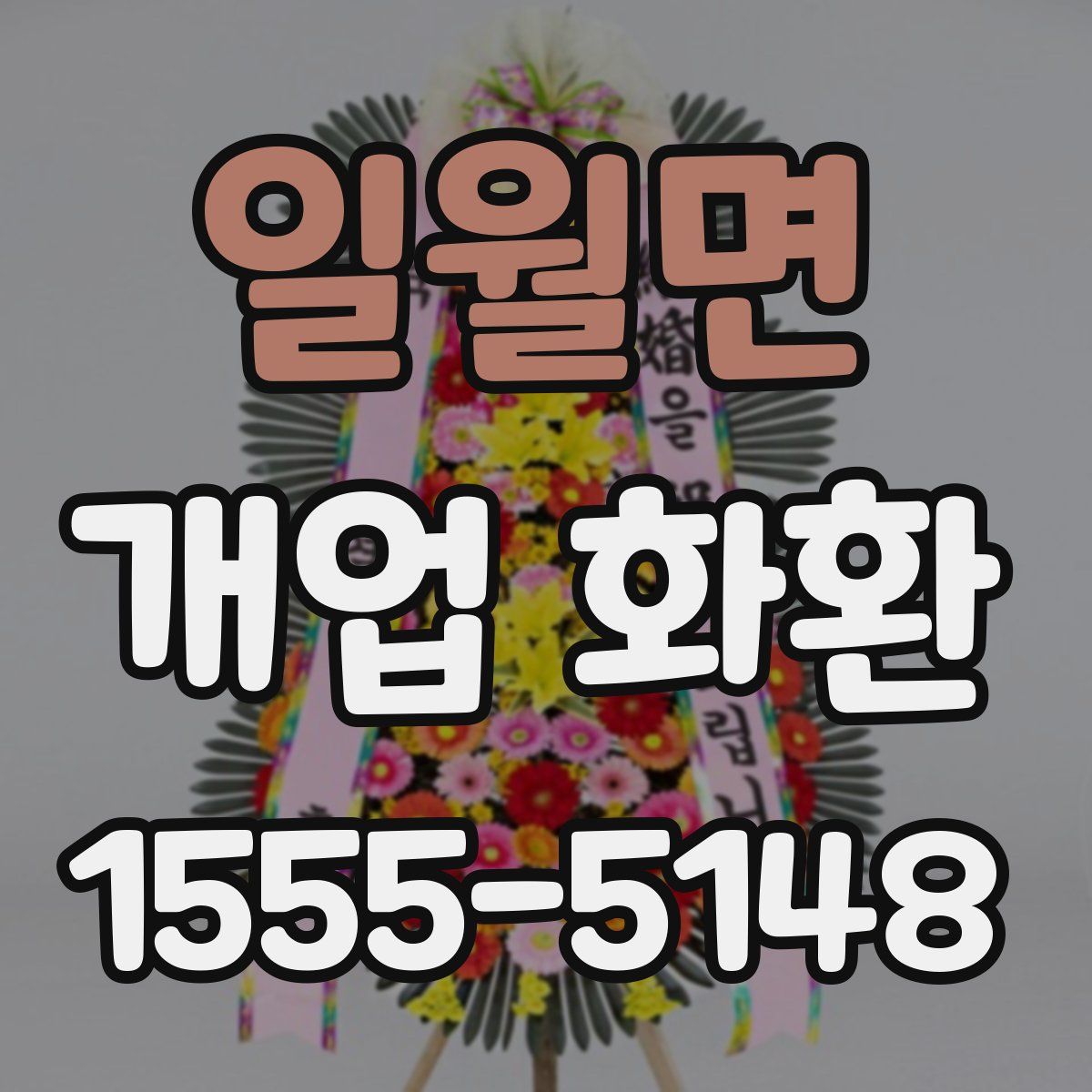 일월면 개업 화환