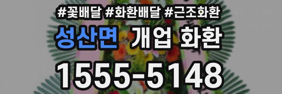 성산면 개업 화환