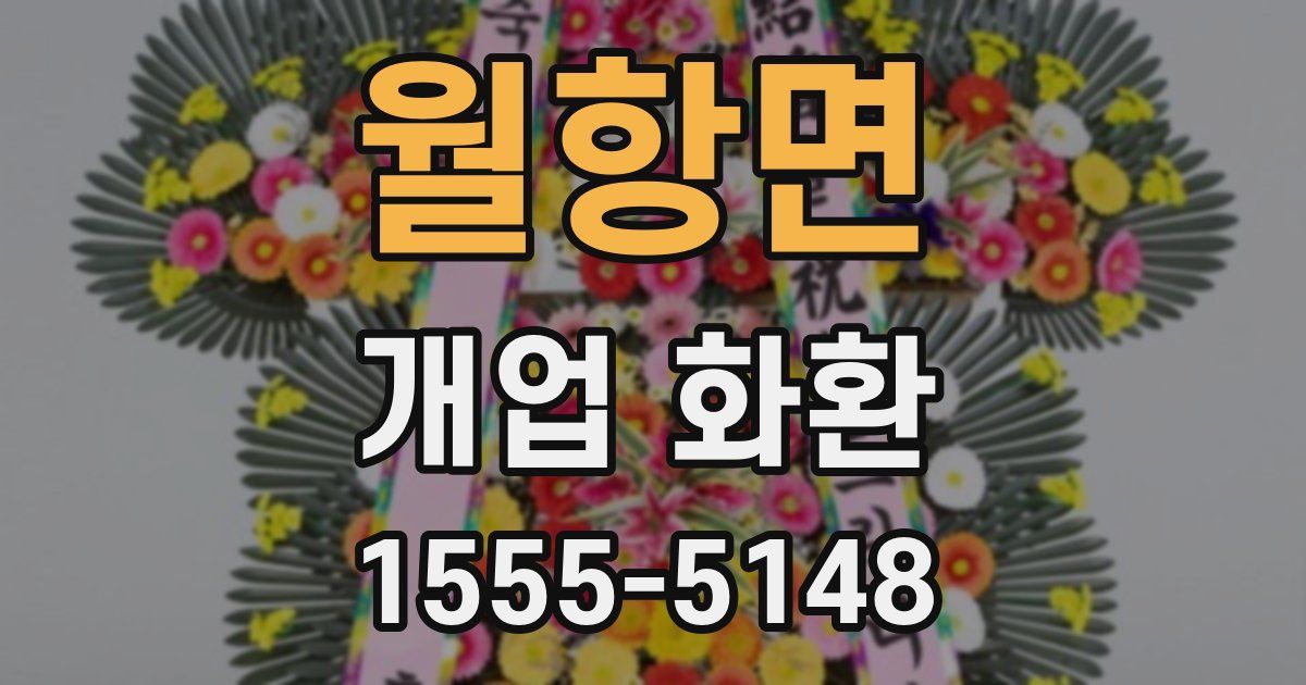 월항면 개업 화환
