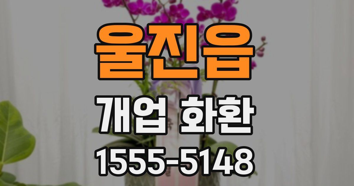 울진읍 개업 화환