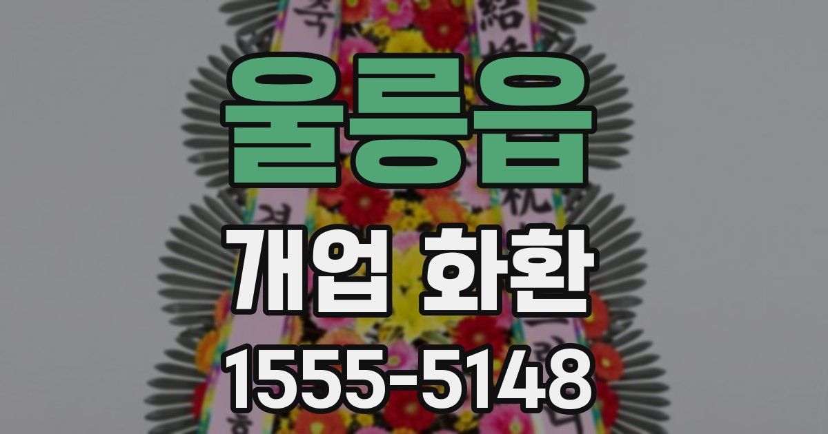 울릉읍 개업 화환