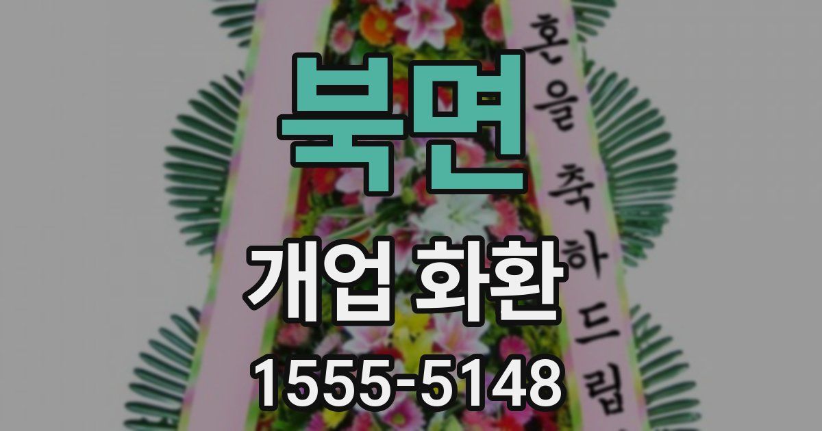 북면 개업 화환