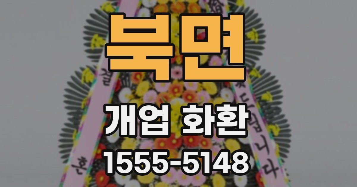 북면 개업 화환