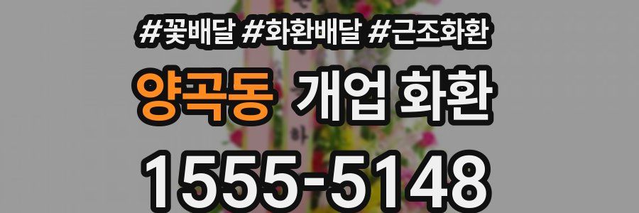 양곡동 개업 화환