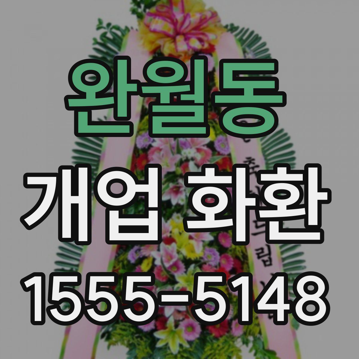 완월동 개업 화환