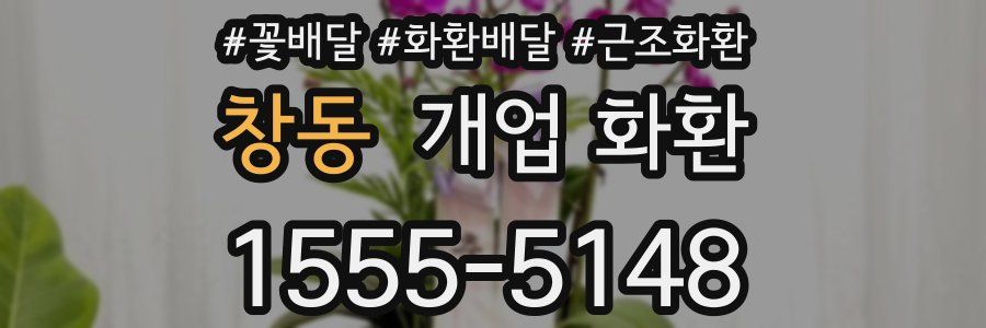 창동 개업 화환