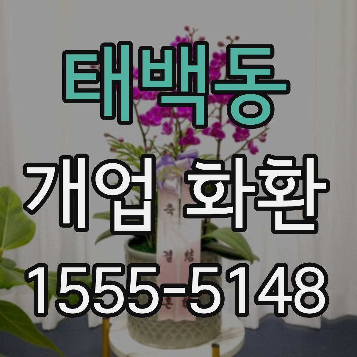 태백동 개업 화환