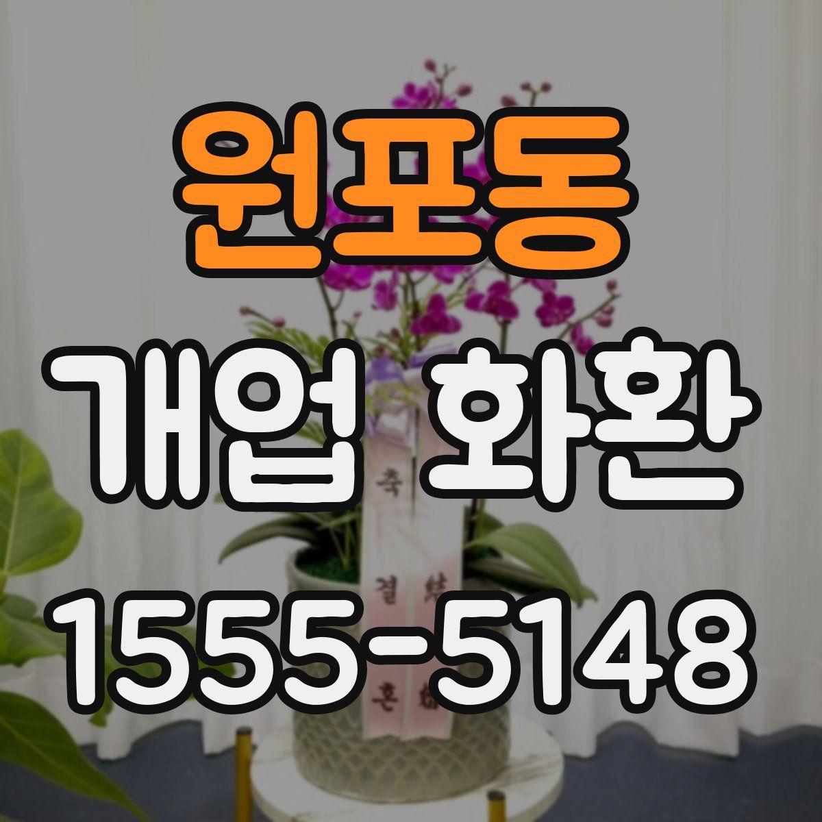 원포동 개업 화환