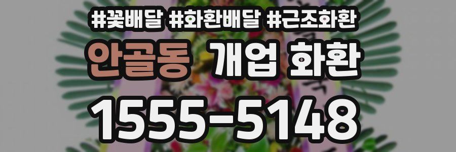 안골동 개업 화환