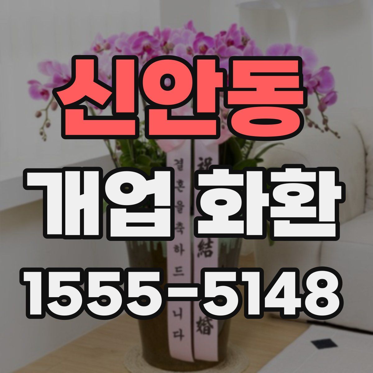 신안동 개업 화환