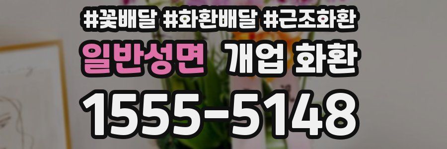 일반성면 개업 화환