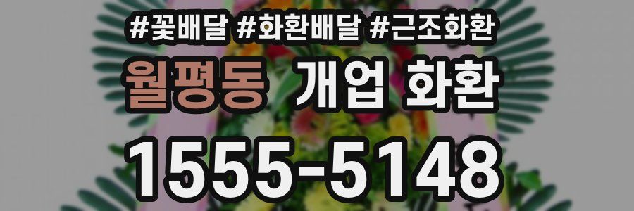 월평동 개업 화환