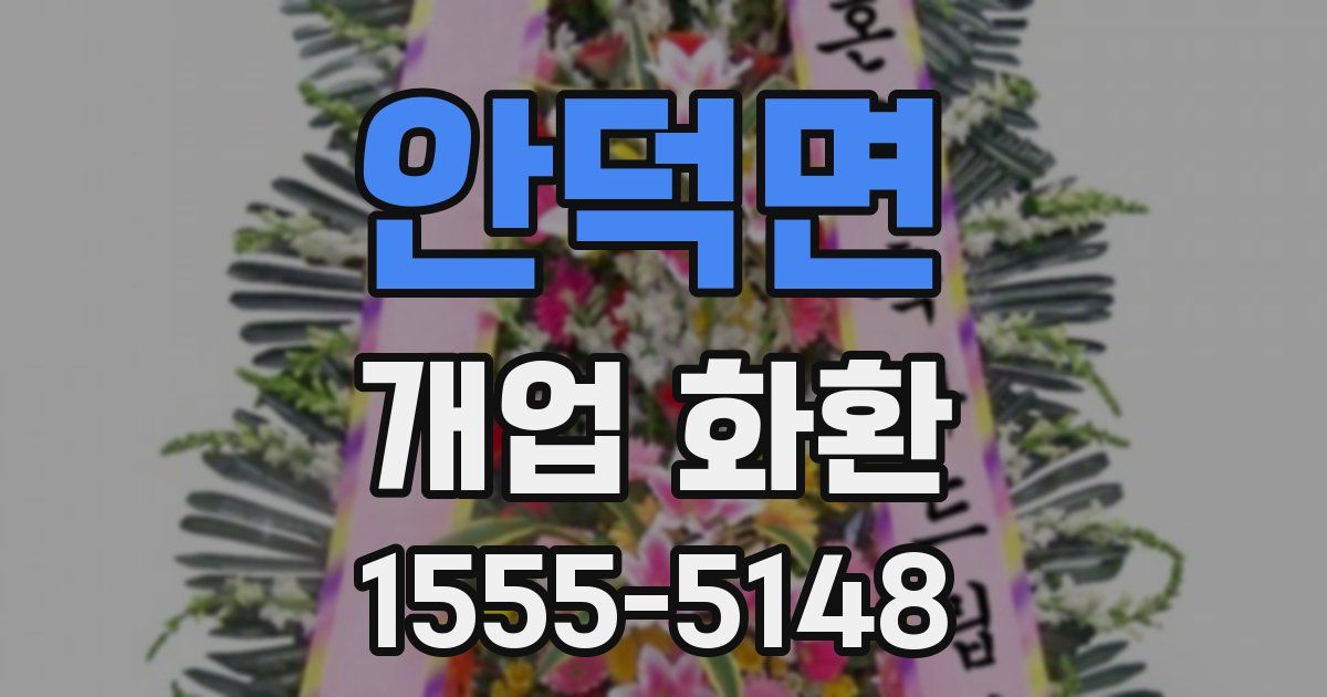 안덕면 개업 화환