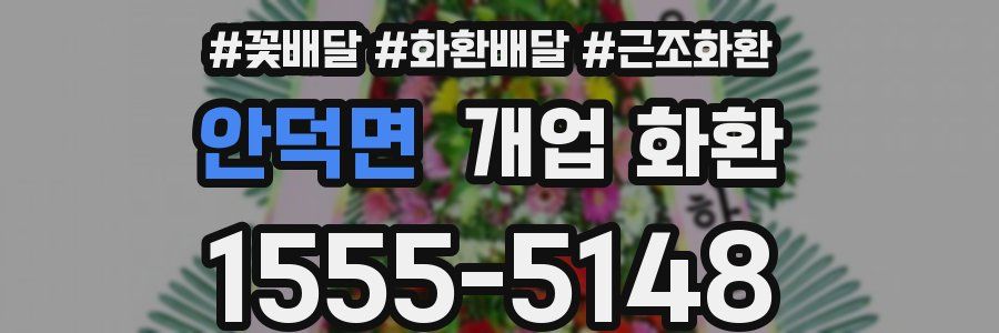 안덕면 개업 화환