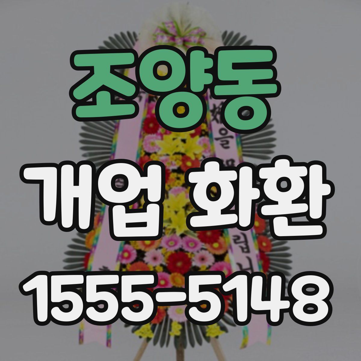 조양동 개업 화환