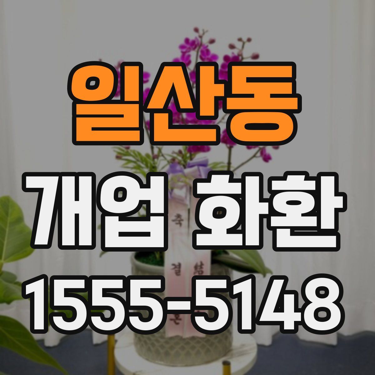 일산동 개업 화환