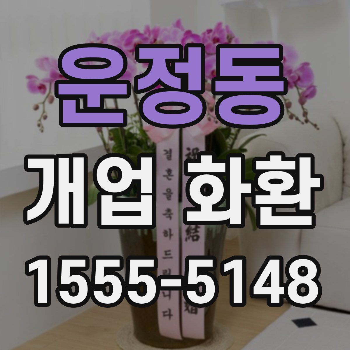운정동 개업 화환