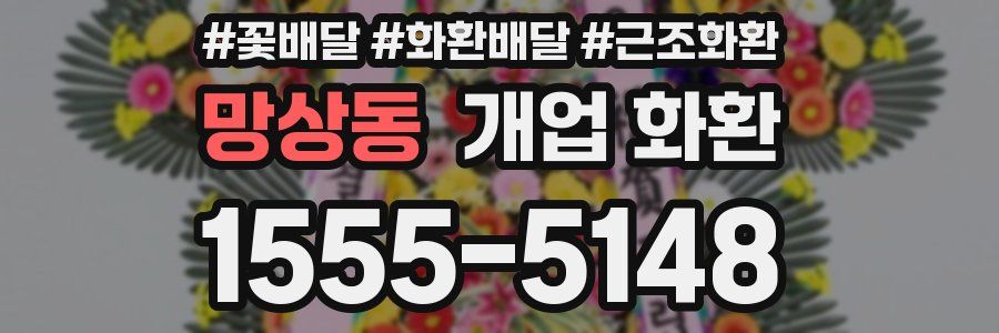 망상동 개업 화환