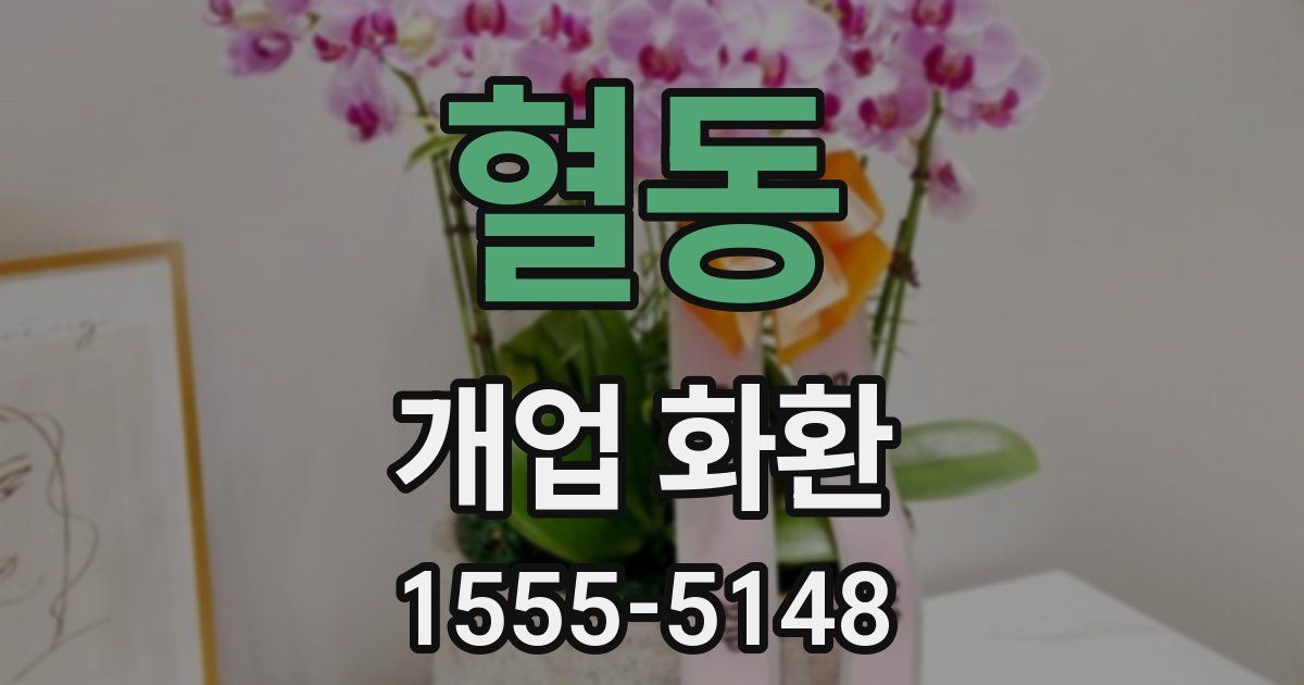 혈동 개업 화환