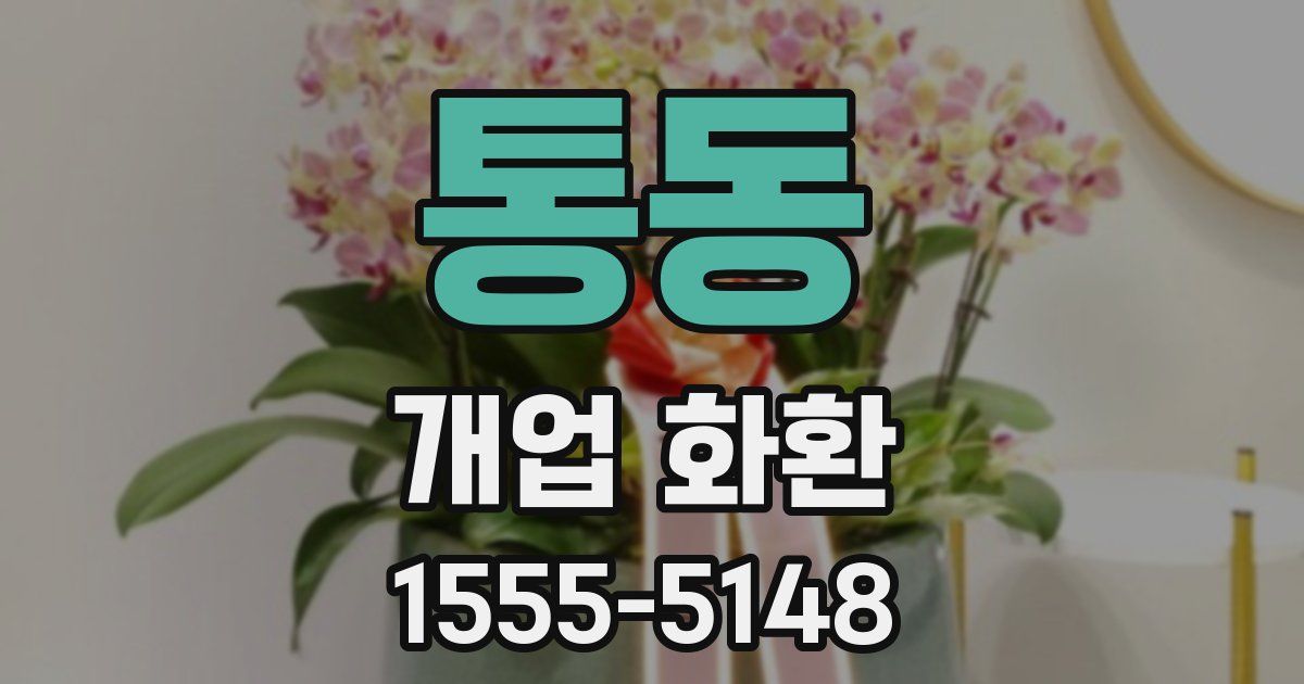통동 개업 화환