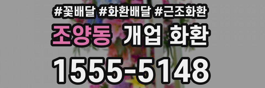 조양동 개업 화환