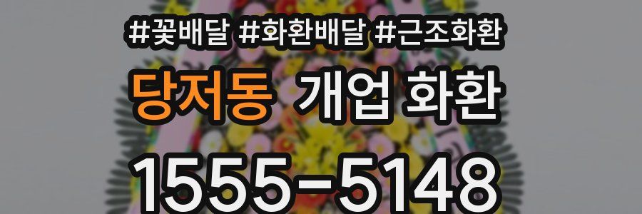 당저동 개업 화환
