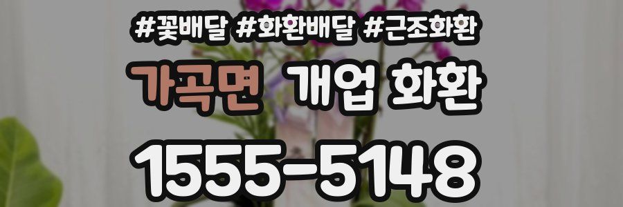 가곡면 개업 화환