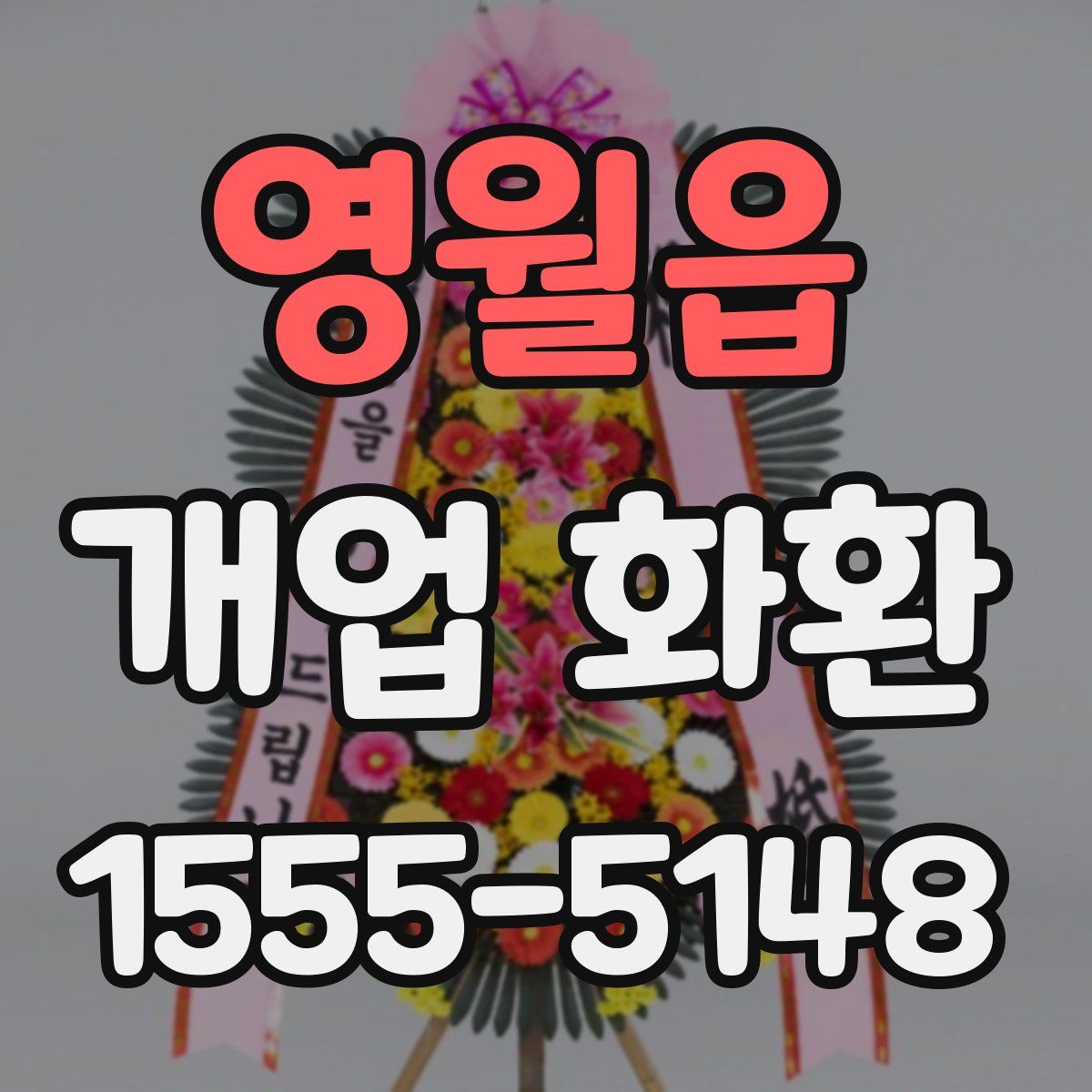 영월읍 개업 화환
