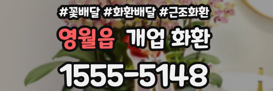 영월읍 개업 화환
