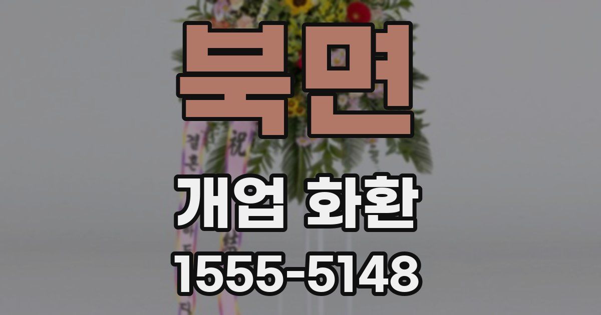 북면 개업 화환