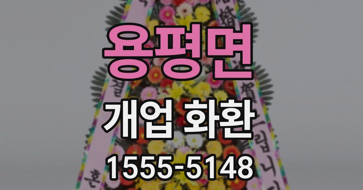 용평면 개업 화환