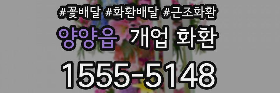 양양읍 개업 화환