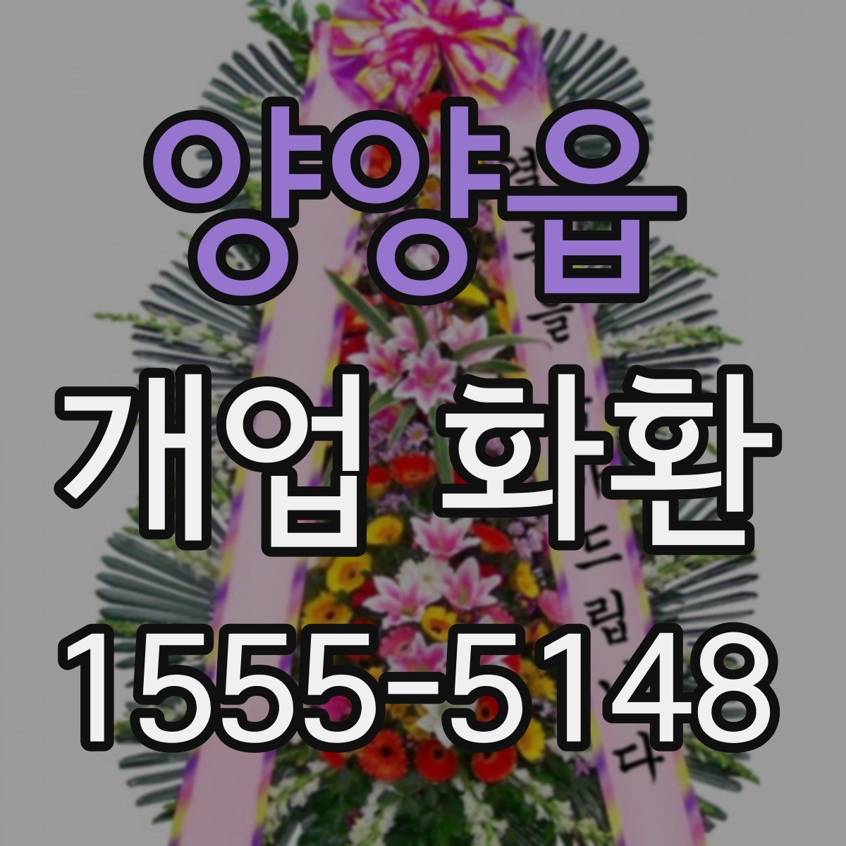 양양읍 개업 화환