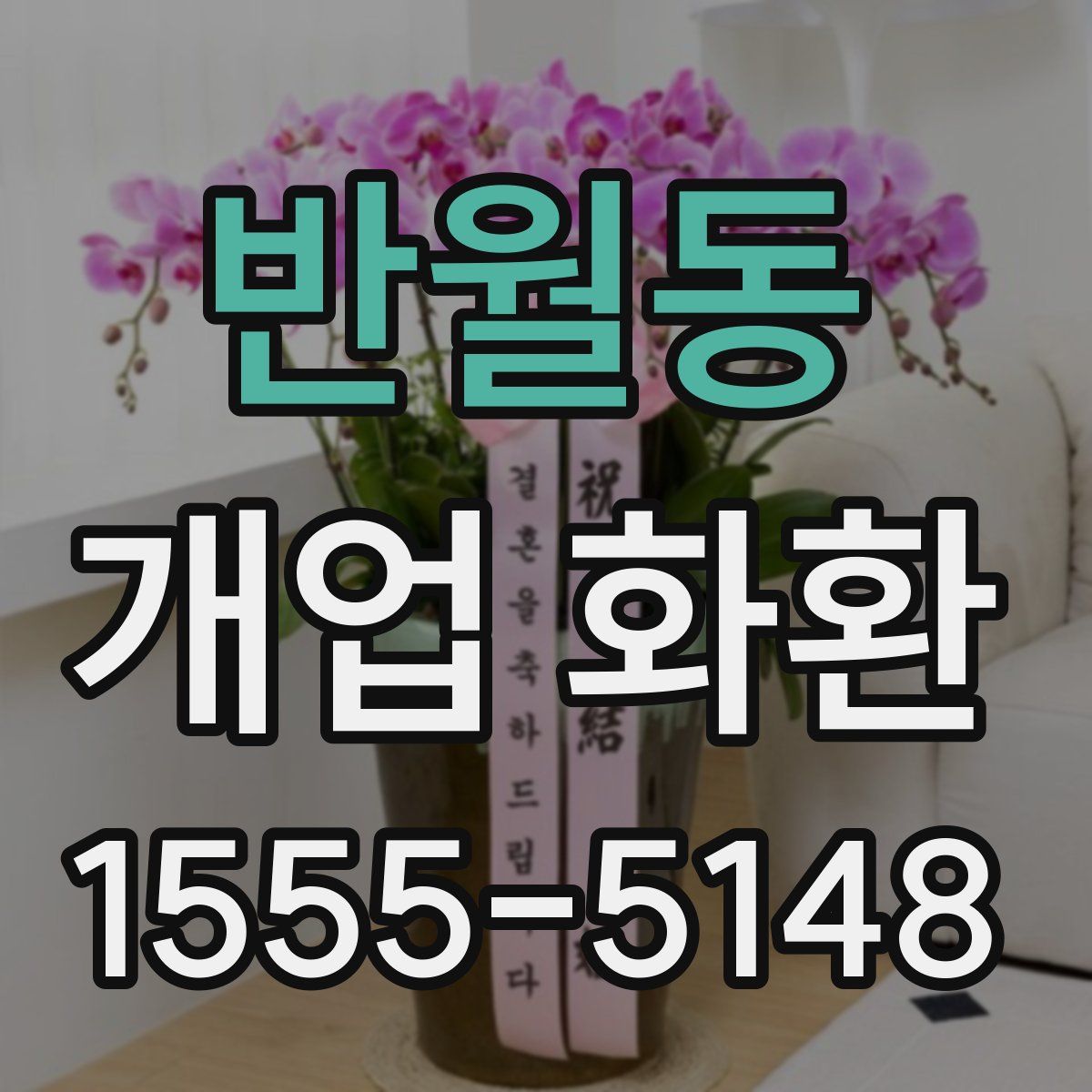 반월동 개업 화환