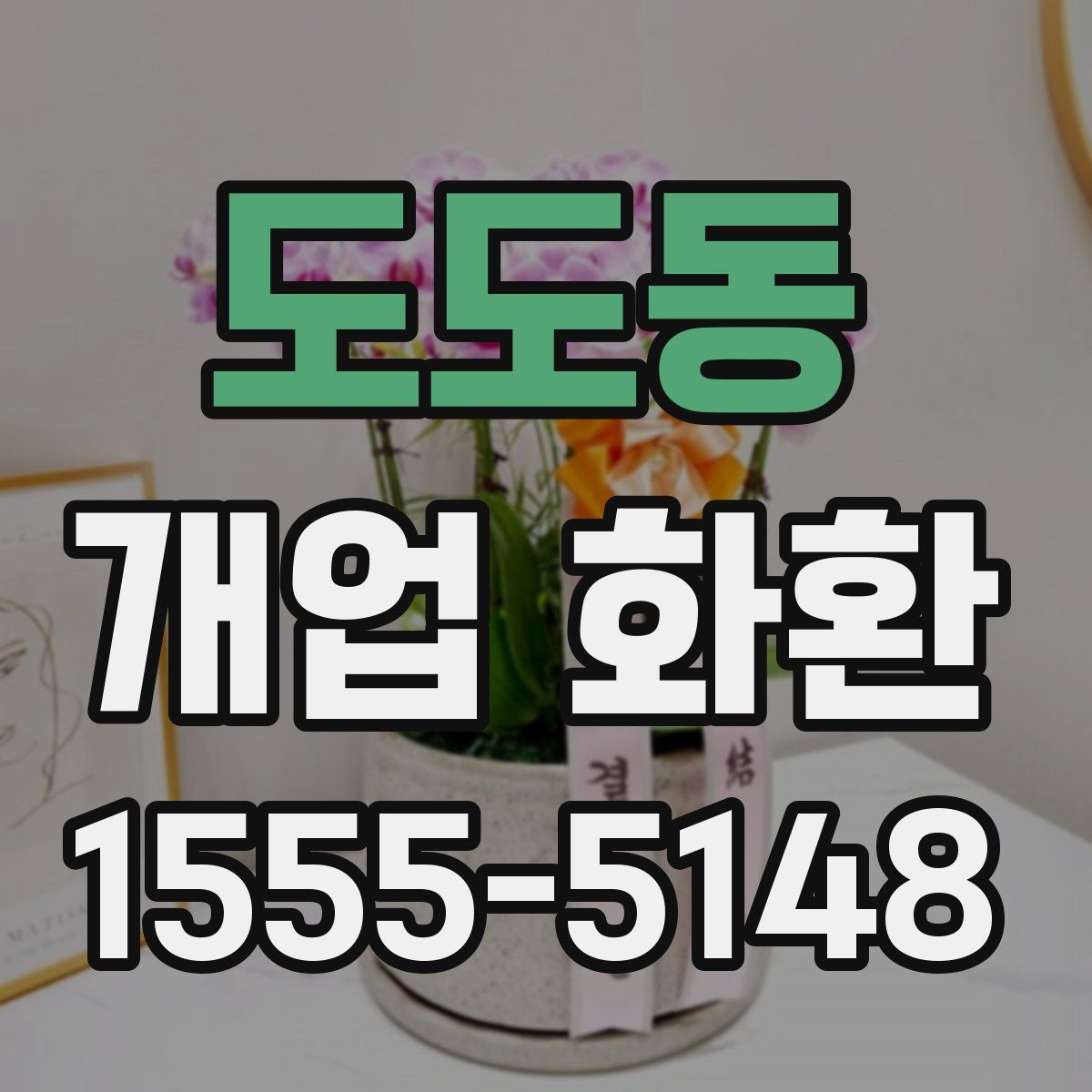 도도동 개업 화환