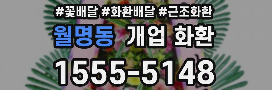 월명동 개업 화환